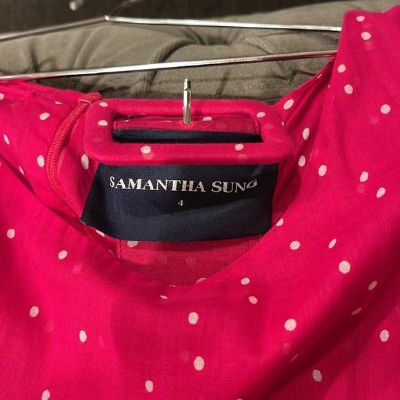 Samantha Sung Pink Dress - Picture 4 of 4